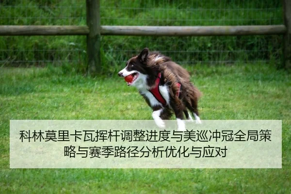 科林莫里卡瓦挥杆调整进度与美巡冲冠全局策略与赛季路径分析优化与应对